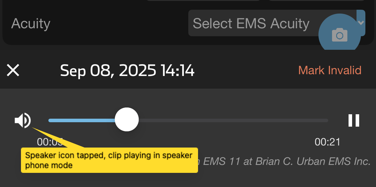 Audio_Clip_Playing_Edit