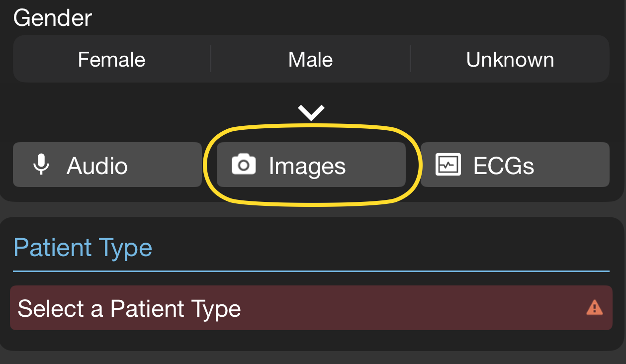 Image_Audio_ECG_Buttons_Edit_Small
