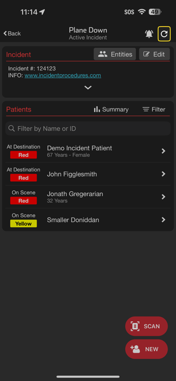 Incident_Patient_List_Short_Highlight